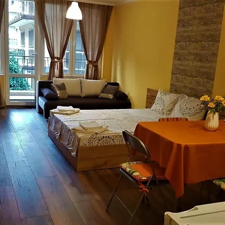 Studio Sunny Apartment
